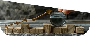 data-integrity image